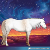 Horse Color:Gray Gold Champagne Dun