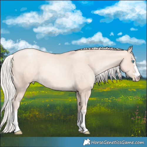 Horse Color:Gold Cream Champagne Pearl