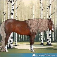 Horse Color:Liver Chestnut 
