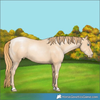 Horse Color:Gold Champagne Pearl 