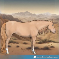Horse Color:Gold Champagne