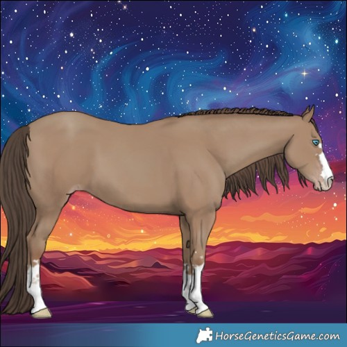 Horse Color:Classic Champagne 