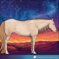 Horse Color:Buckskin Pearl