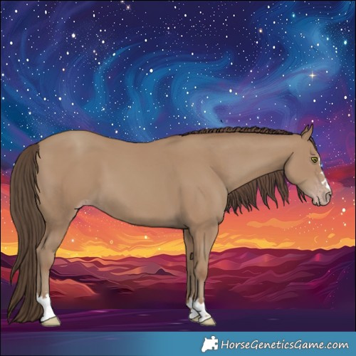 Horse Color:Classic Champagne