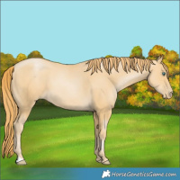 Horse Color:Smoky Black Pearl 
