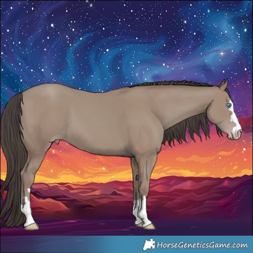 Horse Color:Classic Champagne