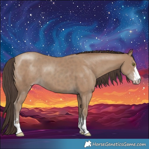 Horse Color:Classic Champagne 