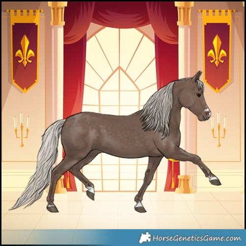 Horse Color:Silver Black 