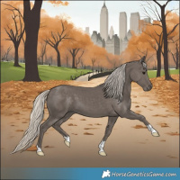 Horse Color:Silver Smoky Black 