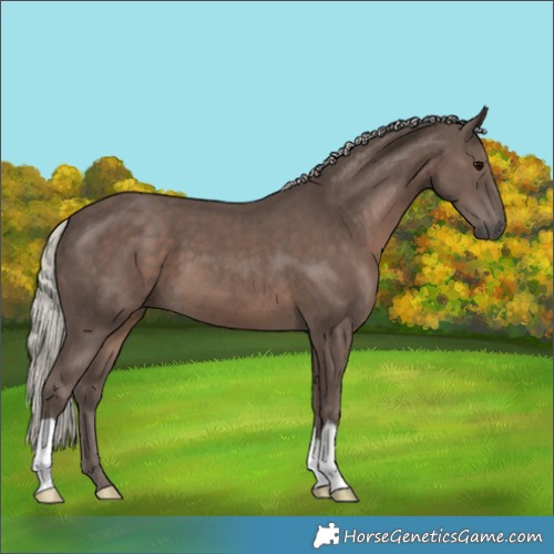 Horse Color:Silver Black 