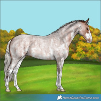 Horse Color:Silver Brown Roan Sabino