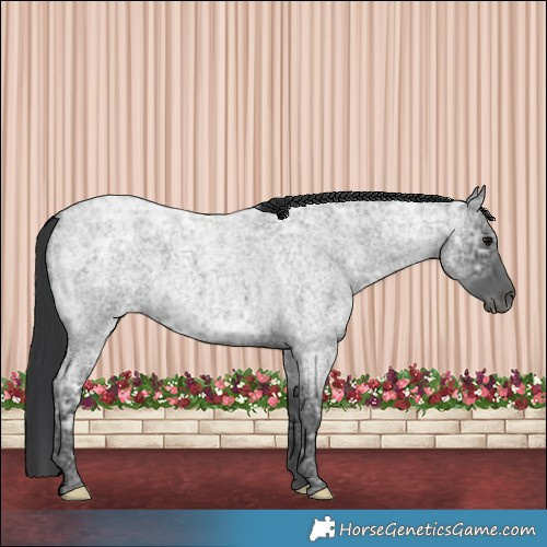 Horse Color:Blue Ice Roan