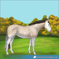 Horse Color:Amber Champagne Ice Dun Splash 