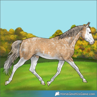 Horse Color:Palomino Ice Splash 