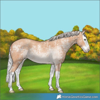 Horse Color:Silver Classic Champagne Ice Splash 