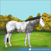 Horse Color:Brown Ice Splash Blanket 