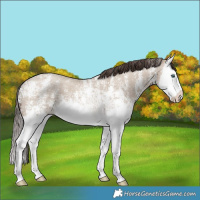 Horse Color:Classic Champagne Ice Dun Sabino Splash 
