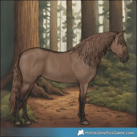 Horse Color:Liver Red Dun 
