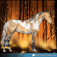 Horse Color:White Spotted Silver Buckskin Dun 