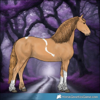 Horse Color:Chestnut Tobiano 