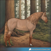 Horse Color:Red Dun 