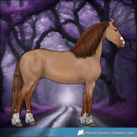 Horse Color:Red Dun 