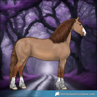 Horse Color:Red Dun 