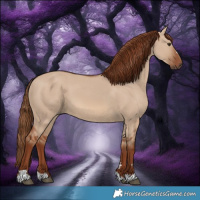 Horse Color:Red Dun