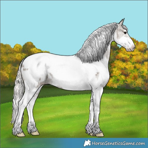 Horse Color:White Spotted Silver Grullo Tobiano Frame Appaloosa Rabicano 