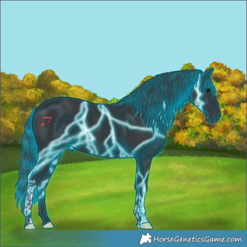 Horse Color:Thunderstruck Black Tobiano Rabicano 