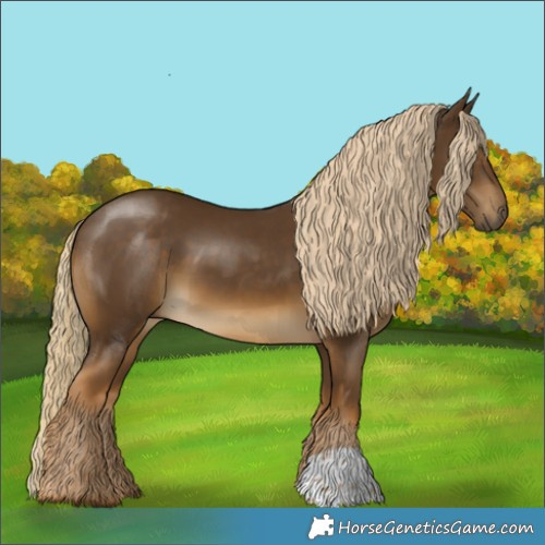 Horse Color:Chocolate Palomino 