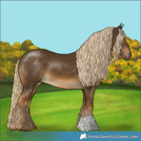 Horse Color:Chocolate Palomino 