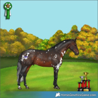 Horse Color:White Spotted Brown Rabicano 