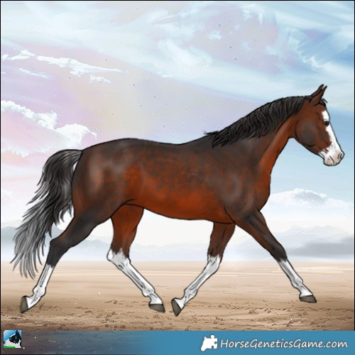 Horse Color:Brown Mushroom Splash 