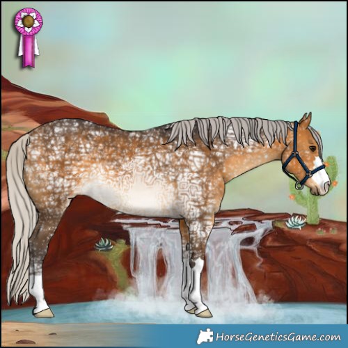 Horse Color:Silver Buckskin Ice 