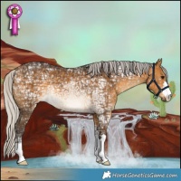 Horse Color:Silver Buckskin Ice 