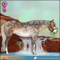 Horse Color:Silver Buckskin Ice 