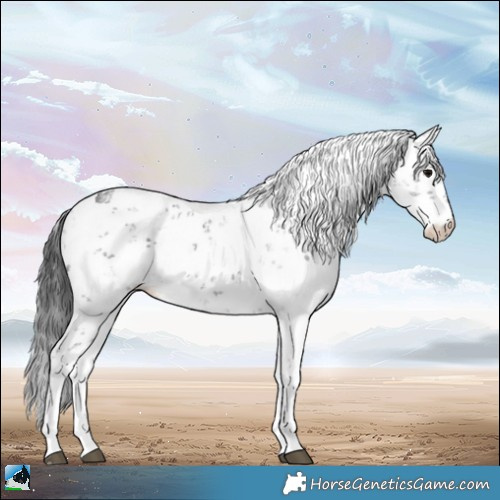 Horse Color:Brown Sabino Rabicano 