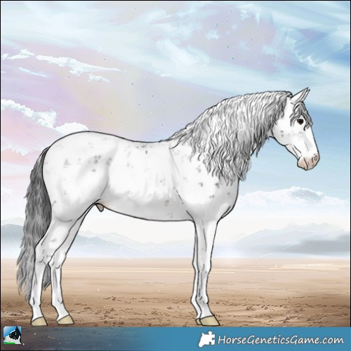 Horse Color:Brown Sabino 