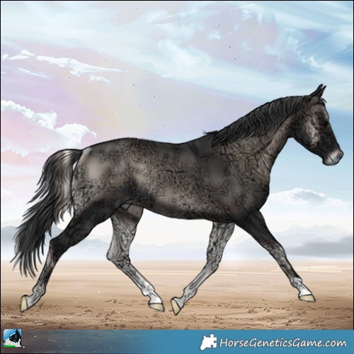 Horse Color:Blue Onyx Ice Mushroom Rabicano 