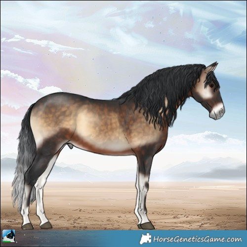 Horse Color:Brown Onyx 