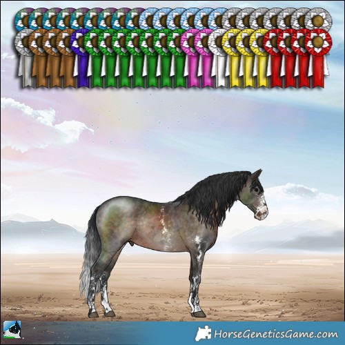 Horse Color:Brown Sabino Rabicano 