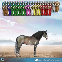 Horse Color:Brown Sabino Rabicano