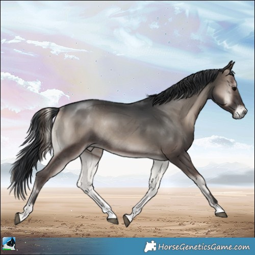 Horse Color:Blue Onyx Mushroom Rabicano 