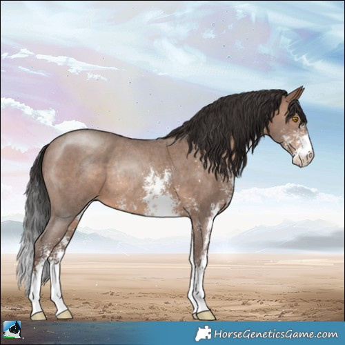 Horse Color:Sable Champagne Sabino Rabicano 