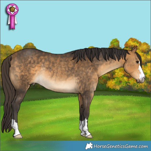 Horse Color:Buckskin Rabicano 