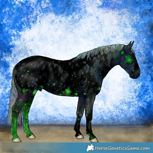 Horse Color:ERROR: UNKNOWN ANOMALY