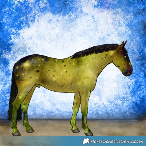Horse Color:ERROR: UNKNOWN ANOMALY