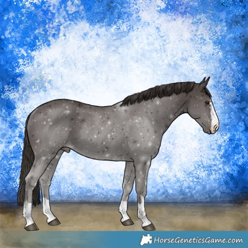 Horse Color:Liver Chestnut Rabicano 
