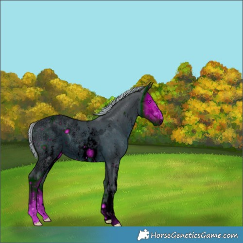 Horse Color:ERROR: UNKNOWN ANOMALY